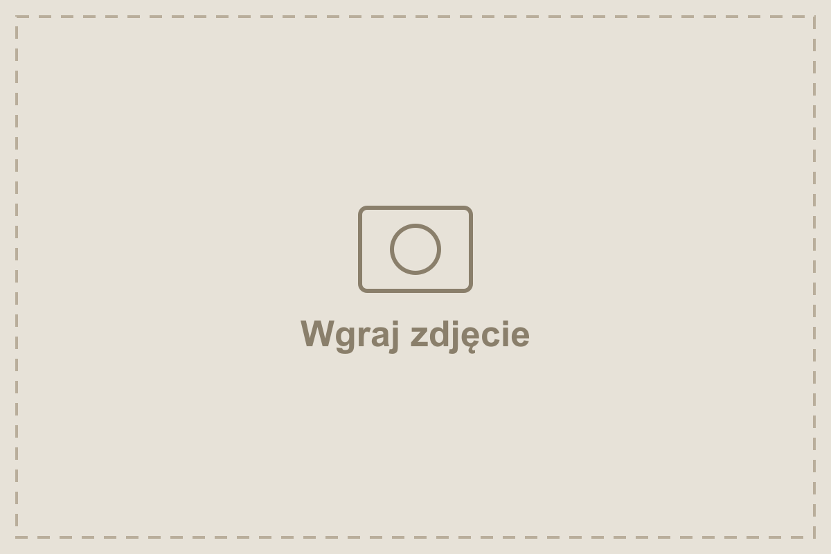 Brwi, które budzą się razem z Tobą.